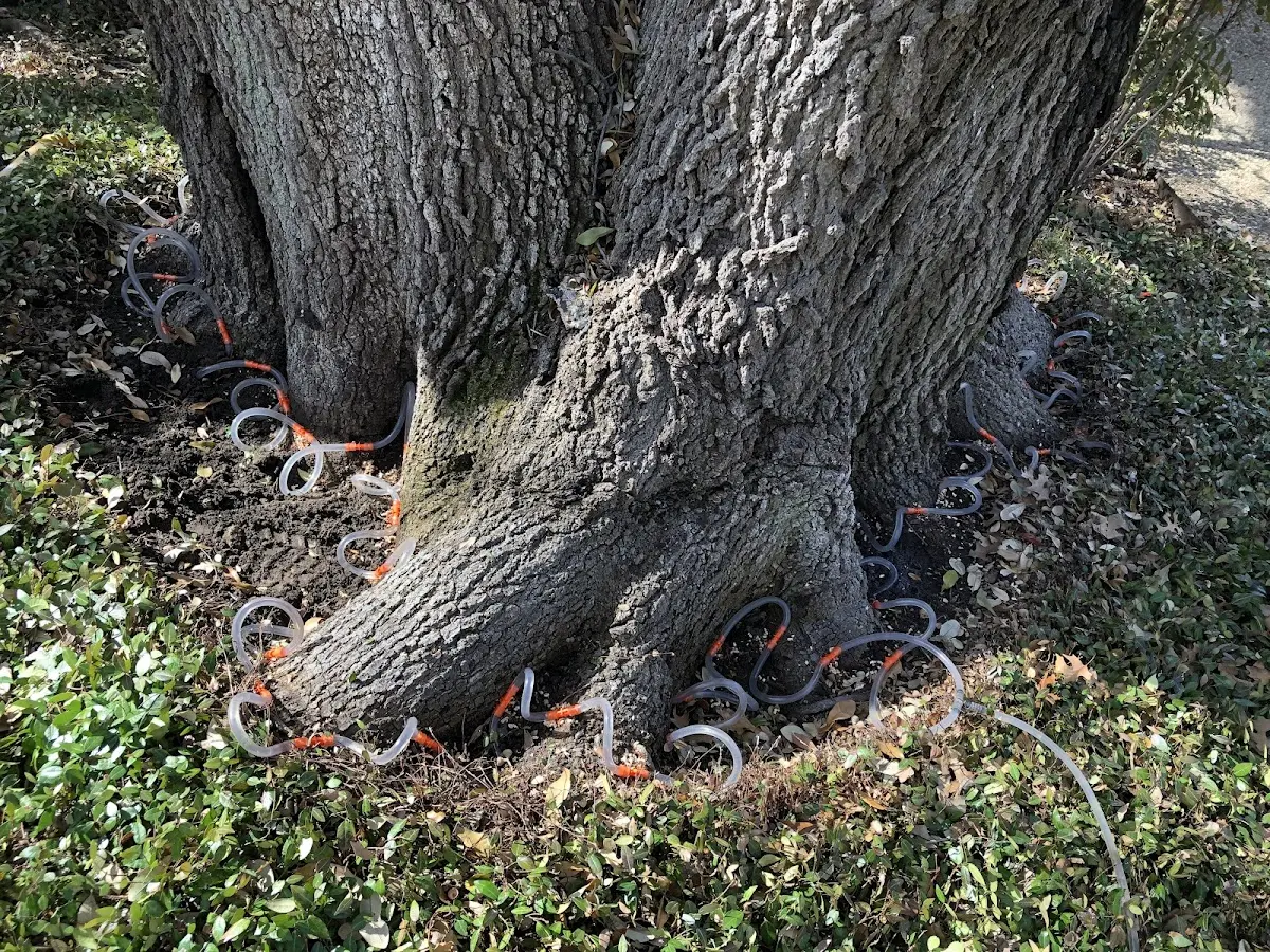 Detailed Shrub and Hedge Trimming job site in Duke Center