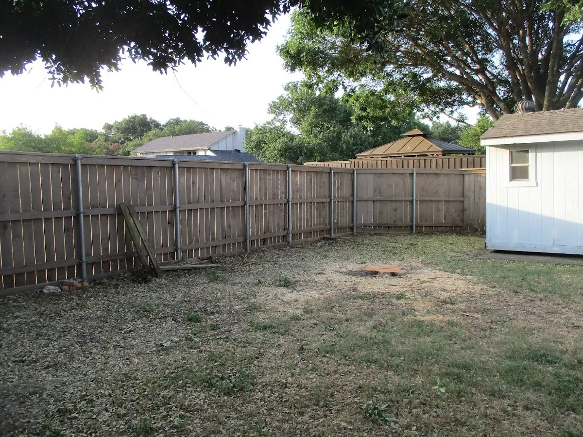 Cleared yard after professional tree removal in Duke Center