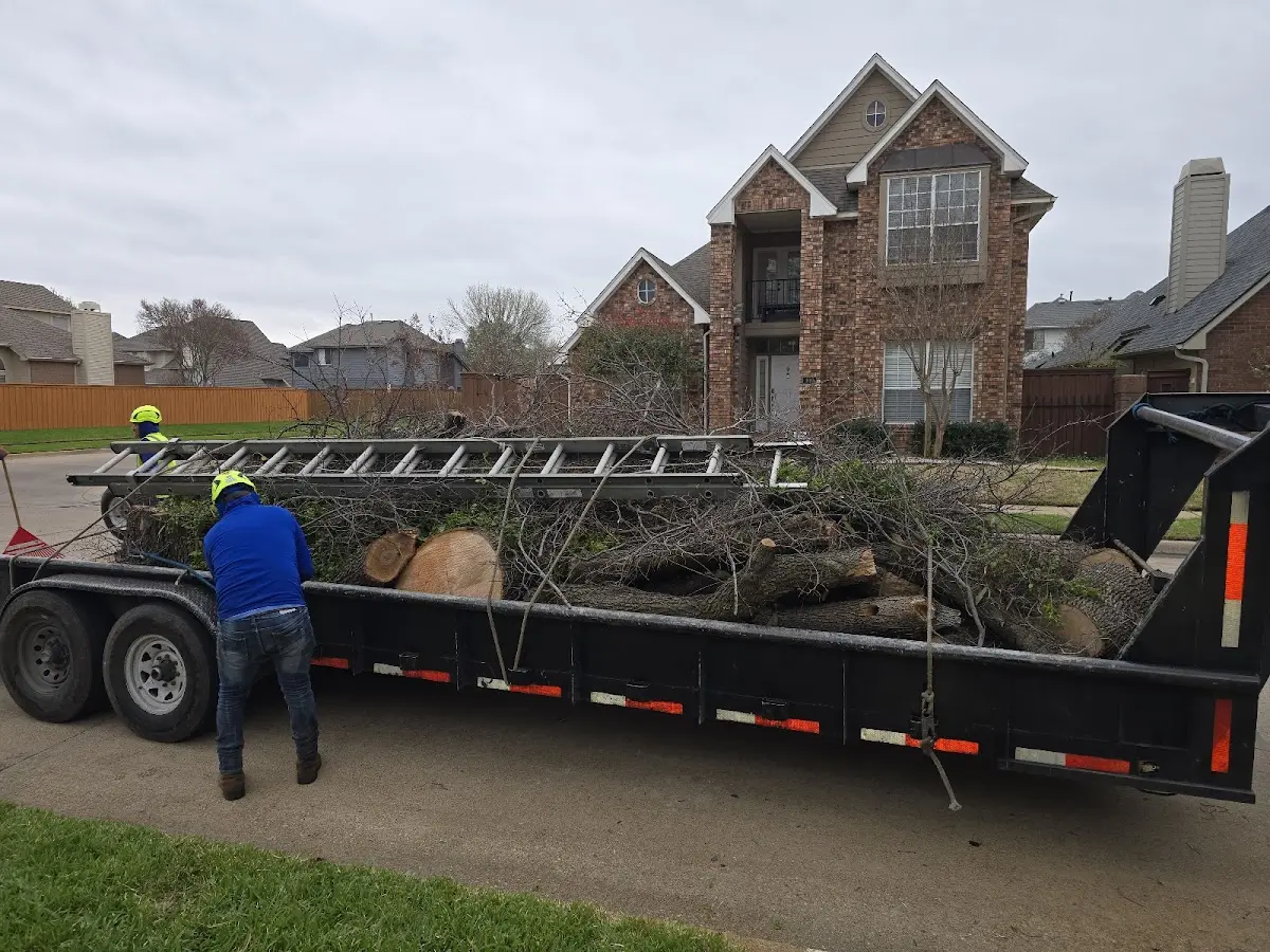 Expert Tree Removal with proper safety equipment in Duke Center